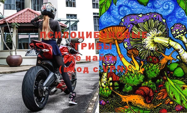 каннабис Лабытнанги