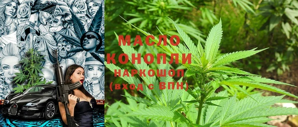 индика Лагань