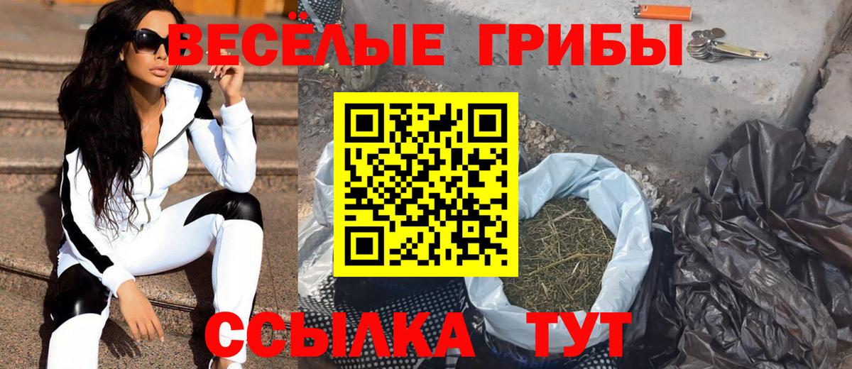 Галлюциногенные грибы MAGIC MUSHROOMS Урус-Мартан