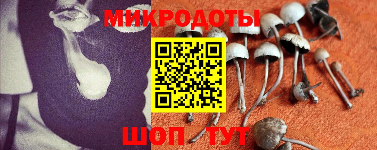 Псилоцибиновые грибы мухоморы Урус-Мартан