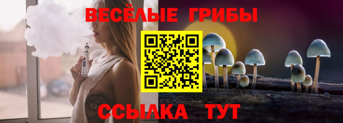 Урус-Мартан  Псилоцибиновые грибы Psilocybine cubensis  продажа наркотиков  Псилоцибиновые грибы прущие грибы  Вход с VPN 