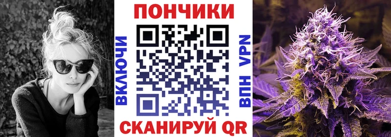 купить наркотик  Урус-Мартан  Шишки марихуана сатива 